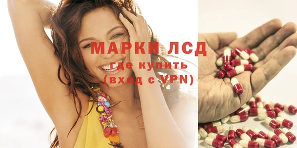 сатива Ельня