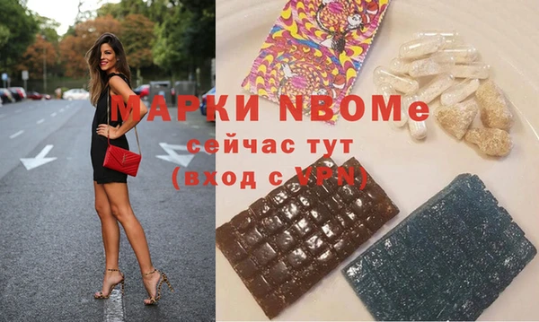 сатива Ельня