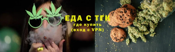 сатива Ельня