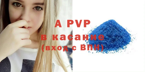 сатива Ельня