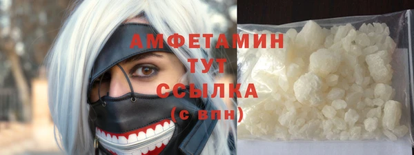 сатива Ельня