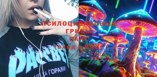 сатива Ельня