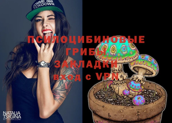 сатива Ельня
