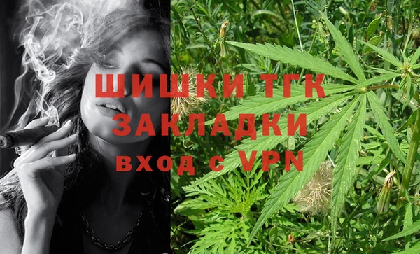 сатива Ельня