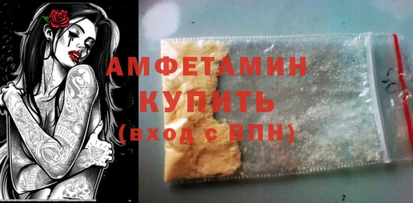 сатива Ельня