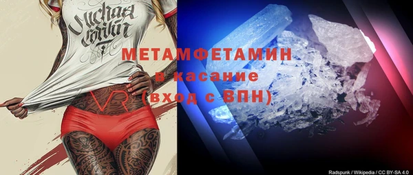 сатива Ельня