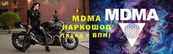 сатива Ельня