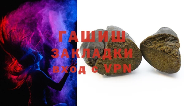 сатива Ельня