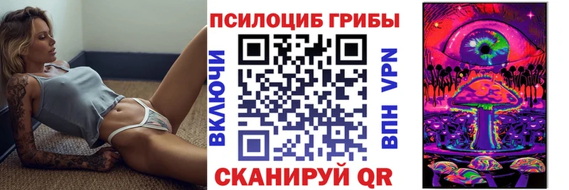 Галлюциногенные грибы GOLDEN TEACHER  Купить закладки  Новоржев 